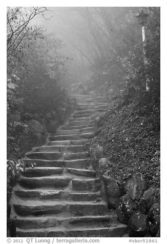 Stairs leading to grotto, Seokguram. Gyeongju, South Korea (black and white)