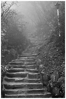 Stairs leading to grotto, Seokguram. Gyeongju, South Korea (black and white)