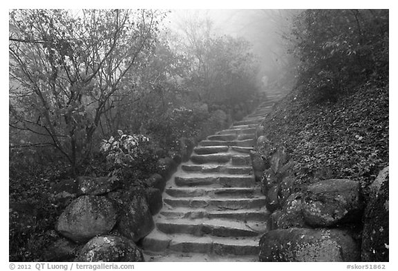 Stone stairs in fog, Seokguram. Gyeongju, South Korea