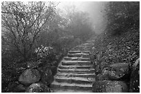 Stone stairs in fog, Seokguram. Gyeongju, South Korea (black and white)