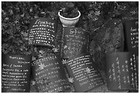 Multilingual well-wishing tablets, Seokguram. Gyeongju, South Korea (black and white)