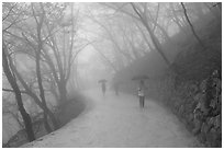 Tourist walking in fog, Seokguram. Gyeongju, South Korea (black and white)