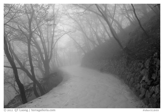 Path in fog, Seokguram. Gyeongju, South Korea (black and white)