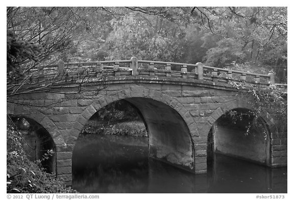 Stone bridge and fall colors, Bulguk-sa. Gyeongju, South Korea