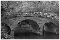 Stone bridge and fall colors, Bulguk-sa. Gyeongju, South Korea ( black and white)