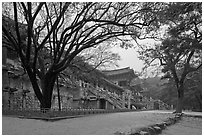 Temple of Silla, Bulguksa. Gyeongju, South Korea (black and white)