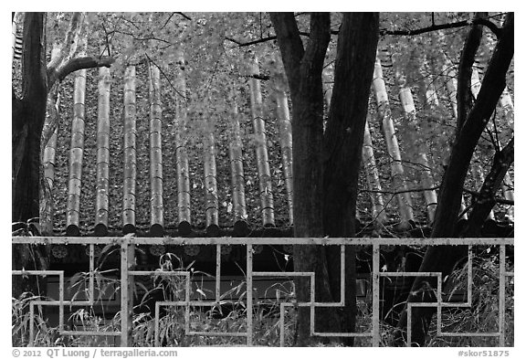 Fence with Buddhist symbol, and roof with fallen leaves, Bulguksa. Gyeongju, South Korea (black and white)