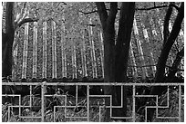 Fence with Buddhist symbol, and roof with fallen leaves, Bulguksa. Gyeongju, South Korea (black and white)