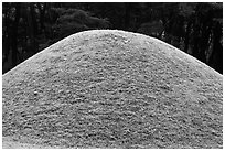 Burial mound, Mt Namsan. Gyeongju, South Korea (black and white)