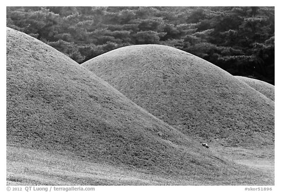 Tumuli, Namsan Mountain. Gyeongju, South Korea (black and white)