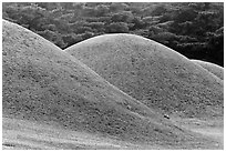 Tumuli, Namsan Mountain. Gyeongju, South Korea (black and white)