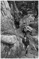 Hikers on trail, Mt Namsan. Gyeongju, South Korea (black and white)