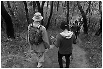 Monk and hikers on trail, Namsan Mountain. Gyeongju, South Korea (black and white)