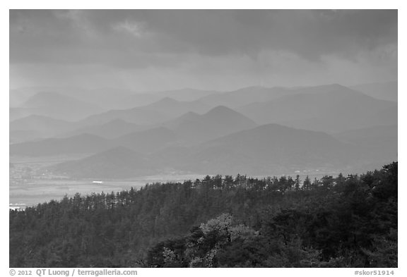 Forest slopes and distant misty hills, Mt Namsan. Gyeongju, South Korea (black and white)