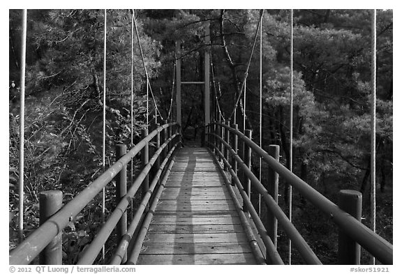 Suspension bridge, Namsan Mountain. Gyeongju, South Korea (black and white)