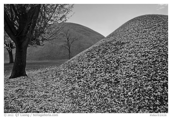 Grassy burial mounds in autumn. Gyeongju, South Korea