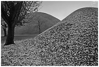 Grassy burial mounds in autumn. Gyeongju, South Korea (black and white)