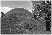 Tumuli with fallen leaves. Gyeongju, South Korea (black and white)