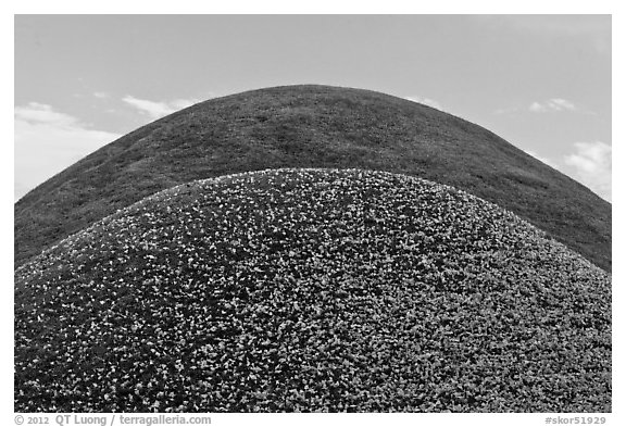 Symmetrical tumuli. Gyeongju, South Korea (black and white)