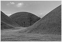 Large burial mounds. Gyeongju, South Korea ( black and white)