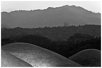 Burial mounds and hills. Gyeongju, South Korea ( black and white)