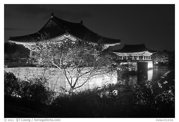 Donggung pavilions at night. Gyeongju, South Korea (black and white)