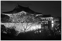 Donggung pavilions at night. Gyeongju, South Korea (black and white)