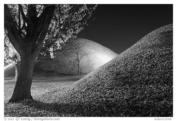 Tumulus and fallen leaves at night. Gyeongju, South Korea