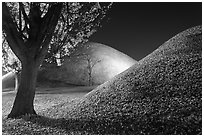Tumulus and fallen leaves at night. Gyeongju, South Korea (black and white)