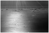 Aerial view of sea in early morning, Busan. South Korea (black and white)