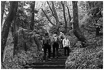 Hiking the Eorimok trail under frozen trees, Mt Halla. Jeju Island, South Korea (black and white)