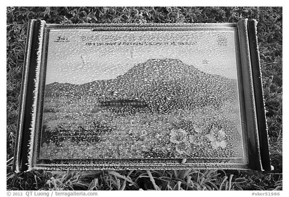 Frosted sign depicting spring landscape, Hallasan. Jeju Island, South Korea