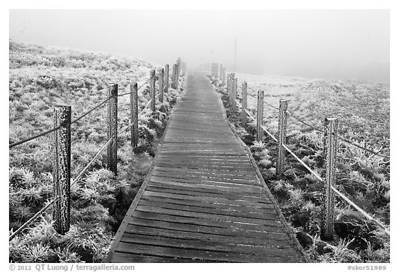Boardwalk trail in frozen landscape, Hallasan. Jeju Island, South Korea (black and white)