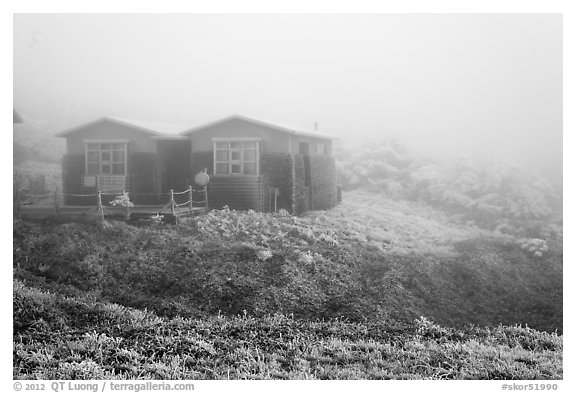 Witseoreum shelter in fog, Mount Halla. Jeju Island, South Korea (black and white)