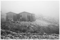 Witseoreum shelter in fog, Mount Halla. Jeju Island, South Korea ( black and white)