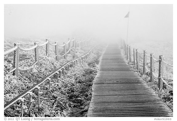 Frozen path and fog, Yeongsil trail, Hallasan. Jeju Island, South Korea (black and white)