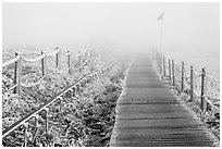 Frozen path and fog, Yeongsil trail, Hallasan. Jeju Island, South Korea ( black and white)