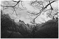 Pinnacles and bare branches, Mt Halla. Jeju Island, South Korea (black and white)