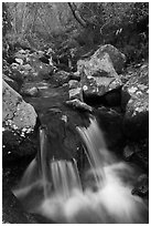 Cascading stream, Hallasan National Park. Jeju Island, South Korea ( black and white)