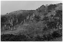 Forest and pinnacles, Hallasan National Park. Jeju Island, South Korea ( black and white)