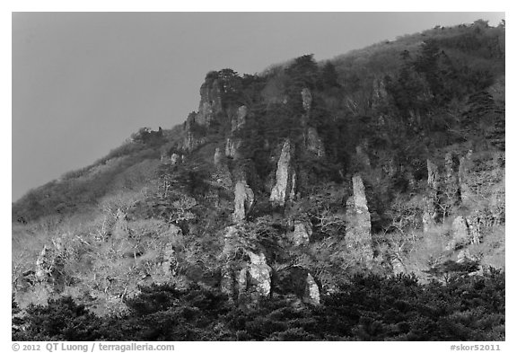 Last light on pinnacles. Jeju Island, South Korea (black and white)