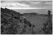 View over crater and ocean,  Seongsang Ilchulbong. Jeju Island, South Korea ( black and white)