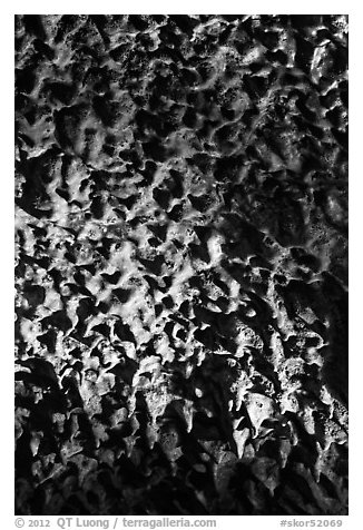 Lava stalactites, Geomunoreum. Jeju Island, South Korea (black and white)