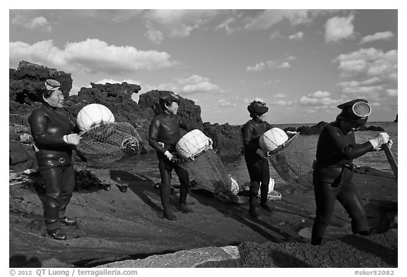 Haeneyo women divers, Seongsang Ilchulbong. Jeju Island, South Korea (black and white)