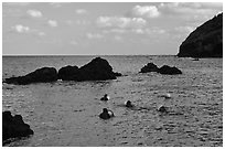 Haeneyo women swimming in cove. Jeju Island, South Korea ( black and white)