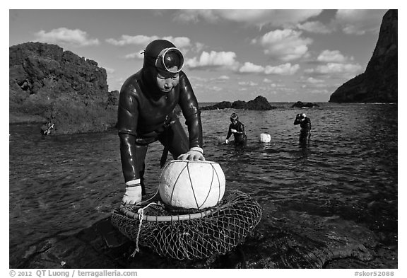 Haeneyo women with fresh catch, Seongsang Ilchulbong. Jeju Island, South Korea (black and white)