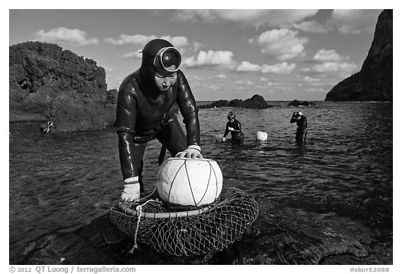 Haeneyo women with fresh catch, Seongsang Ilchulbong. Jeju Island, South Korea