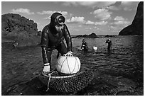 Haeneyo women with fresh catch, Seongsang Ilchulbong. Jeju Island, South Korea ( black and white)