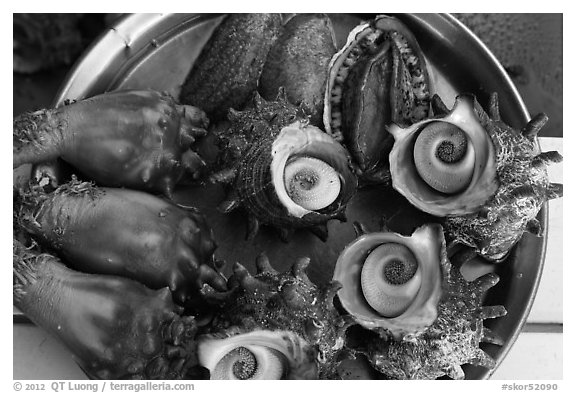 Fresh seafood, Seongsang Ilchulbong. Jeju Island, South Korea (black and white)