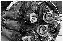 Fresh seafood, Seongsang Ilchulbong. Jeju Island, South Korea (black and white)